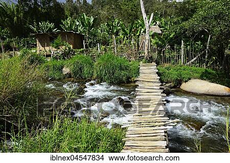 Picture - Wooden bridge over the river, small village in the highlands of Kaveve, Goroka, Papua New Guinea, Oceania. Fotosearch