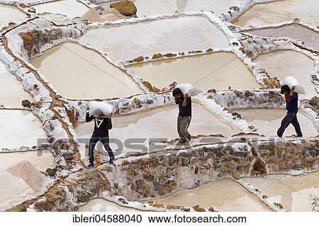 Workers carry salt bags through salt garden, salt mines of Maras, Sacred Valley of the Incas, Province of Cusco, Peru, South America View Large Photo Image Stock Image - Workers carry salt bags through salt garden, salt mines of Maras, Sacred Valley of the Incas, Province of Cusco, Peru, South America. Fotosearch