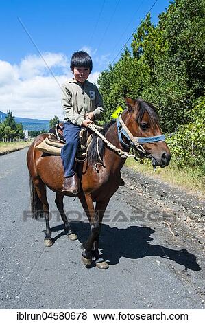 Young boy riding on a horse, Pucon, Chile, South America View Large Photo Image Stock Photo - Young boy riding on a horse, Pucon, Chile, South America. Fotosearch
