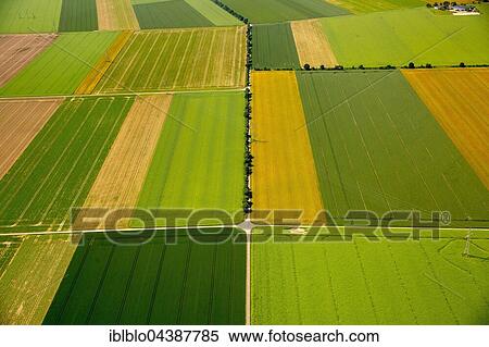 Aerial photograph, fields in Rhine Rift Valley, near Weilerswist, Rhineland, North Rhine-Westphalia, Germany, Europe View Large Photo Image Stock Photography - Aerial photograph, fields in Rhine Rift Valley, near Weilerswist, Rhineland, North Rhine-Westphalia, Germany, Europe. Fotosearch