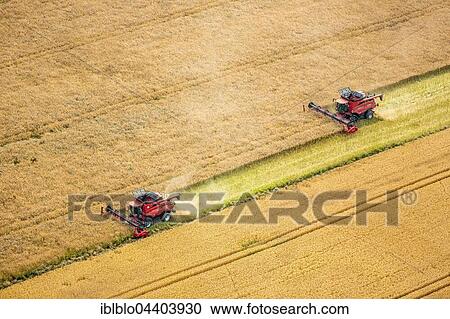Aerial view, grain harvest, Fahr combine harvester in grain field, agriculture, Vipperow, Mecklenburg-Western Pomerania, Germany, Europe View Large Photo Image Stock Image - Aerial view, grain harvest, Fahr combine harvester in grain field, agriculture, Vipperow, Mecklenburg-Western Pomerania, Germany, Europe. Fotosearch