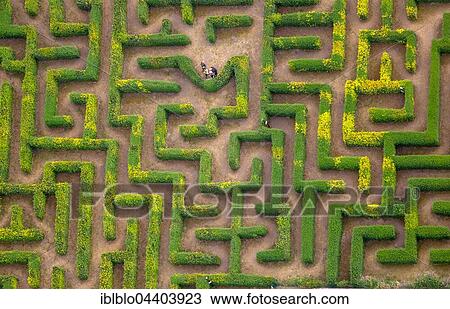 Aerial view, hedge maze, labyrinth, Bollewick, Mecklenburg-Western Pomerania, Germany, Europe View Large Photo Image Stock Image - Aerial view, hedge maze, labyrinth, Bollewick, Mecklenburg-Western Pomerania, Germany, Europe. Fotosearch