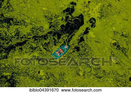 Aerial view of rowboat traveling through water weed, Kemnader Reservoir, Witten, Ruhr District, North Rhine-Westphalia, Germany, Europe View Large Photo Image Stock Image - Aerial view of rowboat traveling through water weed, Kemnader Reservoir, Witten, Ruhr District, North Rhine-Westphalia, Germany, Europe. Fotosearch