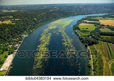 Aerial view, waterweed Elodea, Lake Baldeney, Essen, Ruhr district, North Rhine-Westphalia, Germany, Europe View Large Photo Image Picture - Aerial view, waterweed Elodea, Lake Baldeney, Essen, Ruhr district, North Rhine-Westphalia, Germany, Europe. Fotosearch