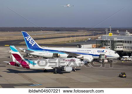 Aircraft ANA All Nippon Airways Boeing 787-8 Dreamliner, and Euro Wings, Airbus A 320-214 on the tarmac, Düsseldorf Airport, Düsseldorf, North Rhine-Westphalia, Germany, Europe View Large Photo Image Stock Image - Aircraft ANA All Nippon Airways Boeing 787-8 Dreamliner, and Euro Wings, Airbus A 320-214 on the tarmac, Düsseldorf Airport, Düsseldorf, North Rhine-Westphalia, Germany, Europe. Fotosearch