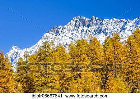 Aletschhorn and Schinhorn, Valais, Switzerland, Europe View Large Photo Image Stock Image - Aletschhorn and Schinhorn, Valais, Switzerland, Europe. Fotosearch