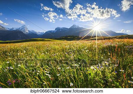 Picture - Alp Flix, Switzerland, Europe. Fotosearch