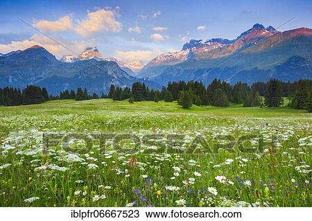 Alp Flix, Switzerland, Europe View Large Photo Image Stock Image - Alp Flix, Switzerland, Europe. Fotosearch