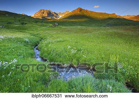 Stock Image - Alp Flix, Switzerland, Europe. Fotosearch