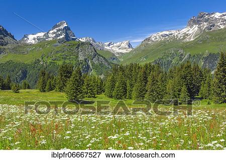 Alp Flix, Switzerland, Europe View Large Photo Image Stock Photo - Alp Flix, Switzerland, Europe. Fotosearch