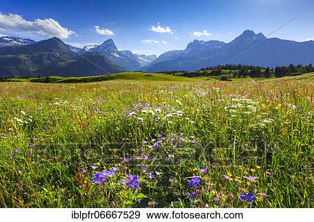 Alp Flix, Switzerland, Europe View Large Photo Image Stock Photo - Alp Flix, Switzerland, Europe. Fotosearch