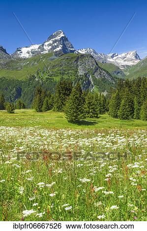 Stock Photograph - Alp Flix, Switzerland, Europe. Fotosearch