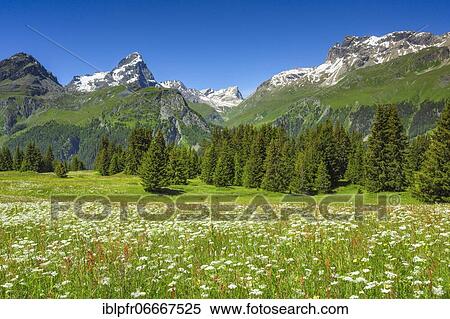 Alp Flix, Switzerland, Europe View Large Photo Image Stock Photography - Alp Flix, Switzerland, Europe. Fotosearch