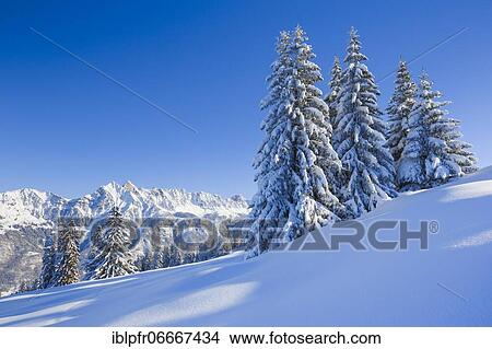 Picture - Alvier Group, St. Gallen, Switzerland, Europe. Fotosearch