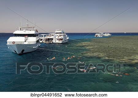 Anchoring ships, tourists snorkeling on coral reef, Red Sea, Egypt, Africa View Large Photo Image Stock Image - Anchoring ships, tourists snorkeling on coral reef, Red Sea, Egypt, Africa. Fotosearch