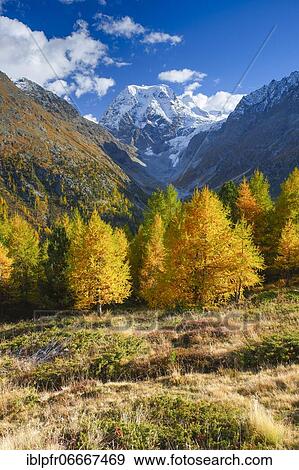 Stock Photo - Arolla, Mt. Collon, Arolla Valley, Valais Switzerland. Fotosearch