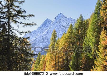 Arolla Valley, Dents de Veisivi, Val d'Hérens, Valais, Switzerland, Europe View Large Photo Image Stock Image - Arolla Valley, Dents de Veisivi, Val d'Hérens, Valais, Switzerland, Europe. Fotosearch