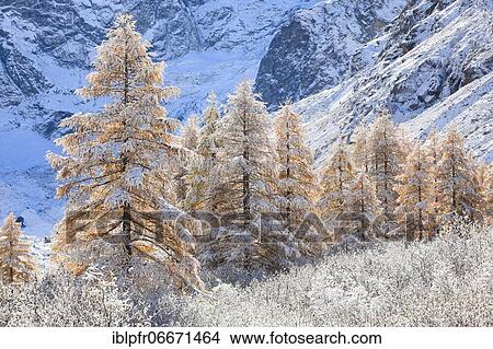 Arolla Valley, Valais Switzerland View Large Photo Image Picture - Arolla Valley, Valais Switzerland. Fotosearch