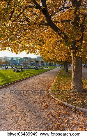 Autumn trees at Schlossplatz, behind them the art museum and Königsbau, city centre, Stuttgart, Baden-Württemberg, Germany, Europe View Large Photo Image Stock Photo - Autumn trees at Schlossplatz, behind them the art museum and Königsbau, city centre, Stuttgart, Baden-Württemberg, Germany, Europe. Fotosearch