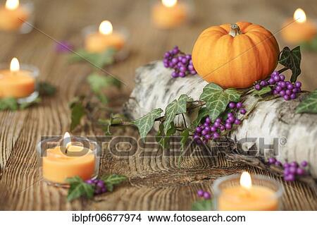 Autumnal decoration View Large Photo Image Picture - Autumnal decoration. Fotosearch