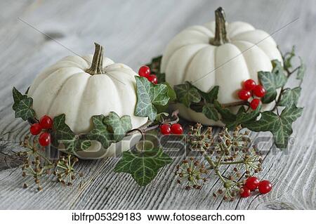 Stock Image - Autumnal decoration. Fotosearch