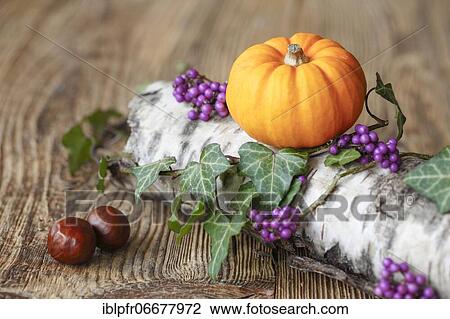 Autumnal decoration View Large Photo Image Stock Image - Autumnal decoration. Fotosearch