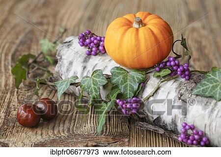 Autumnal decoration View Large Photo Image Stock Image - Autumnal decoration. Fotosearch