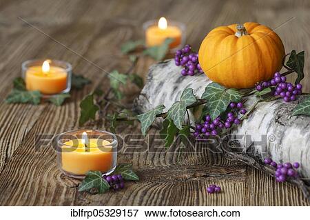 Stock Photo - Autumnal decoration. Fotosearch