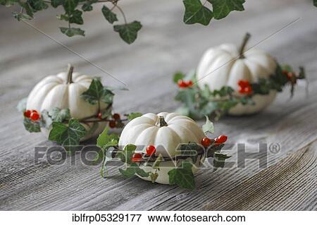 Stock Photo - Autumnal decoration. Fotosearch