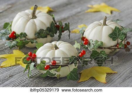 Stock Photo - Autumnal decoration. Fotosearch
