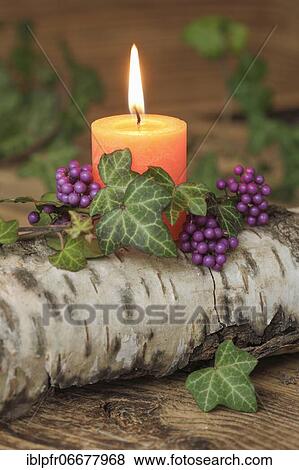Stock Photo - Autumnal decoration. Fotosearch