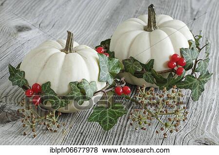 Autumnal decoration View Large Photo Image Stock Photo - Autumnal decoration. Fotosearch