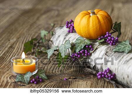 Autumnal decoration View Large Photo Image Stock Photograph - Autumnal decoration. Fotosearch