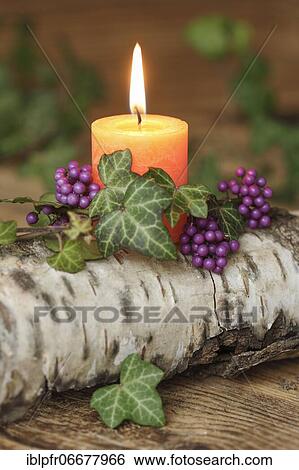 Stock Photograph - Autumnal decoration. Fotosearch