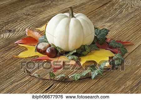 Autumnal decoration View Large Photo Image Stock Photograph - Autumnal decoration. Fotosearch