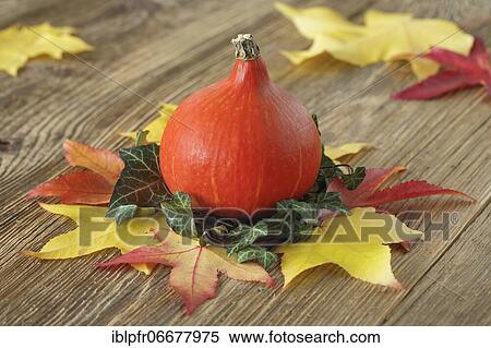 Stock Photography - Autumnal decoration. Fotosearch