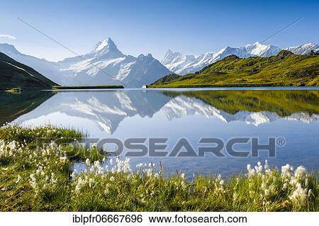 Bachalpsee, Wetterhorn, Schreckhorn, Finsteraarhorn, Switzerland, Europe View Large Photo Image Stock Photograph - Bachalpsee, Wetterhorn, Schreckhorn, Finsteraarhorn, Switzerland, Europe. Fotosearch