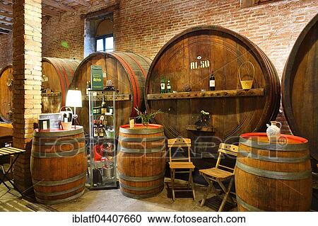 Stock Image - Barrels in cellar, Antica Cantina San't Amico winery, Morro D'Alba, Marche, Italy, Europe. Fotosearch
