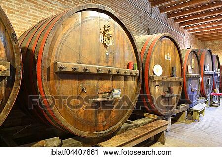 Stock Image - Barrels in cellar, Antica Cantina San't Amico winery, Morro D'Alba, Marche, Italy, Europe. Fotosearch