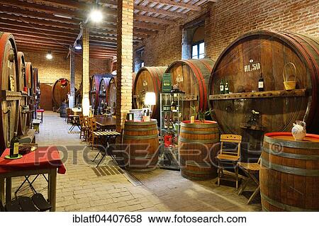 Barrels in cellar, Antica Cantina San't Amico winery, Morro D'Alba, Marche, Italy, Europe View Large Photo Image Stock Photo - Barrels in cellar, Antica Cantina San't Amico winery, Morro D'Alba, Marche, Italy, Europe. Fotosearch