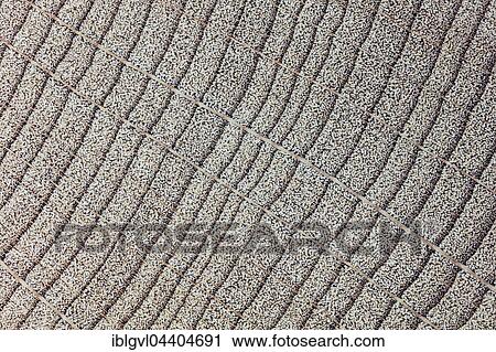 Beech, beech wood, polished, cross section of the trunk, photomicrograph, doubled in size, incident light View Large Photo Image Stock Image - Beech, beech wood, polished, cross section of the trunk, photomicrograph, doubled in size, incident light. Fotosearch