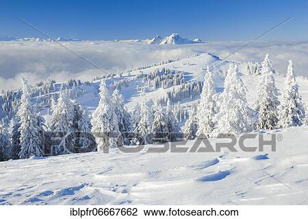 Bernese Alps and Pilatus, Switzerland, Europe View Large Photo Image Stock Image - Bernese Alps and Pilatus, Switzerland, Europe. Fotosearch