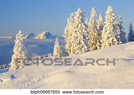 Bernese Alps and Pilatus, Switzerland, Europe View Large Photo Image Stock Photography - Bernese Alps and Pilatus, Switzerland, Europe. Fotosearch