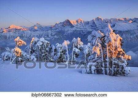 Stock Image - Bernese Alps, view from Niederhorn, Switzerland, Europe. Fotosearch