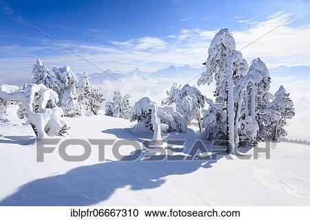 Bernese Alps, view from Niederhorn, Switzerland, Europe View Large Photo Image Stock Image - Bernese Alps, view from Niederhorn, Switzerland, Europe. Fotosearch