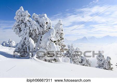 Bernese Alps, view from Niederhorn, Switzerland, Europe View Large Photo Image Stock Image - Bernese Alps, view from Niederhorn, Switzerland, Europe. Fotosearch