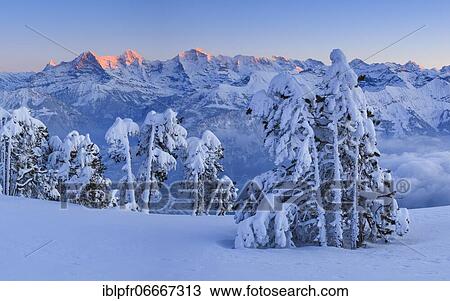 Stock Image - Bernese Alps, view from Niederhorn, Switzerland, Europe. Fotosearch