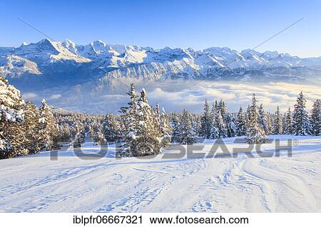 Stock Image - Bernese Alps, view from Niederhorn, Switzerland, Europe. Fotosearch