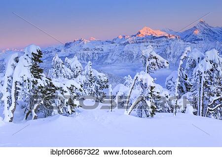 Stock Image - Bernese Alps, view from Niederhorn, Switzerland, Europe. Fotosearch