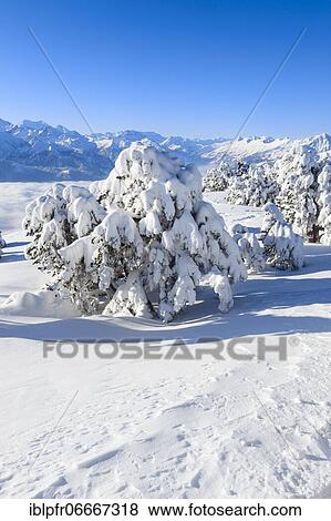 Stock Photo - Bernese Alps, view from Niederhorn, Switzerland, Europe. Fotosearch